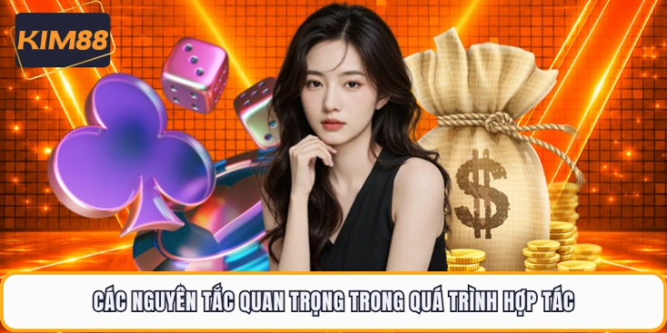 Các nguyên tắc quan trọng trong quá trình hợp tác
