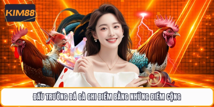 Đấu trường đá gà ghi điểm bằng những điểm cộng